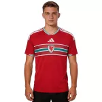 Wales Home Jersey World Cup 2026 - minejerseys