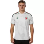 Wales Away Jersey World Cup 2026 - minejerseys