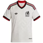 Mexico Away Jersey World Cup 2026 - minejerseys