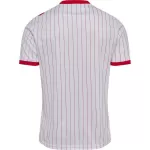 Denmark Away Jersey World Cup 2026 - minejerseys