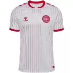 Denmark Away Jersey World Cup 2026 - minejerseys