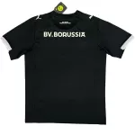 Borussia Dortmund 100th Anniversary Rote Erde Special Edition Jersey 2026 - minejerseys