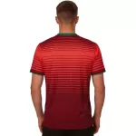 Retro Portugal Home Jersey 2014 - minejerseys