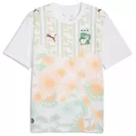 Ivory Coast Away Jersey World Cup 2026 - minejerseys