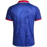 Haiti Home Jersey World Cup 2026 - minejerseys