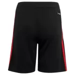 Mexico Third Soccer Shorts World Cup 2026 - minejerseys