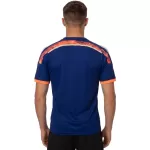 Retro Japan Home Jersey World Cup 2014 - minejerseys