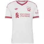 Liverpool Away Match Jersey Player Version 2026/27 - minejerseys
