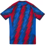 Crystal Palace Third Match Jersey Player Version 2026/27 - minejerseys