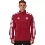Bayern Munich Windbreaker Jacket Red 2026/27 - minejerseys
