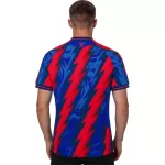 Crystal Palace Third Jersey 2026/27 - minejerseys