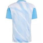 Argentina x Messi Farewell Anniversary Pre-Match Jersey 2026 - minejerseys